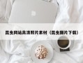 武汉昆虫网站高清照片素材（昆虫图片下载）